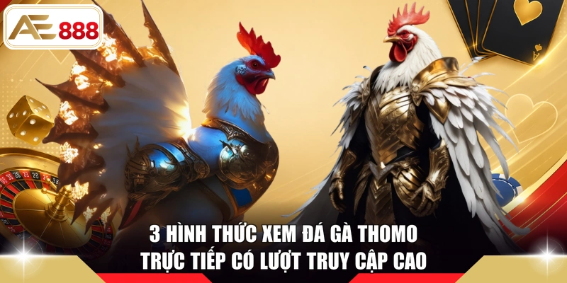 3 hình thức xem đá gà Thomo trực tiếp có lượt truy cập cao
