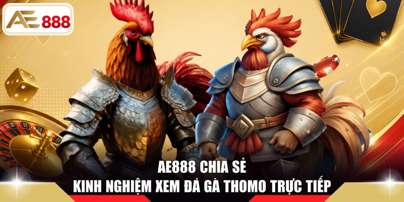 AE888 chia sẻ kinh nghiệm xem đá gà Thomo trực tiếp