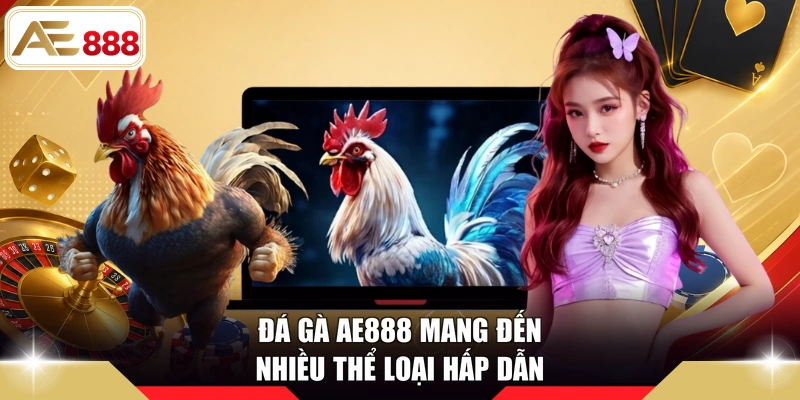 Đá gà AE888 mang đến nhiều thể loại hấp dẫn