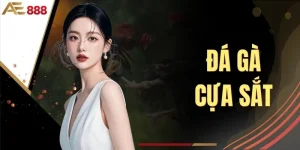 Đá Gà Cựa Sắt Trực Tuyến Hấp Dẫn Cùng Thương Hiệu AE888
