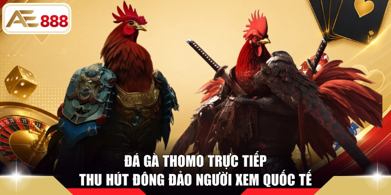 Đá gà Thomo trực tiếp thu hút đông đảo người xem quốc tế