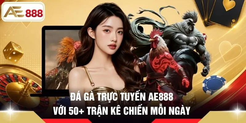 Đá gà trực tuyến AE888 với 50+ trận kê chiến mỗi ngày