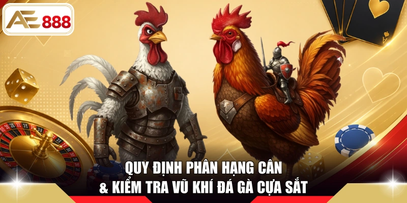 Quy định phân hạng cân & Kiểm tra vũ khí đá gà cựa sắt