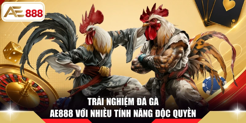 Trải nghiệm đá gà AE888 với nhiều tính năng độc quyền